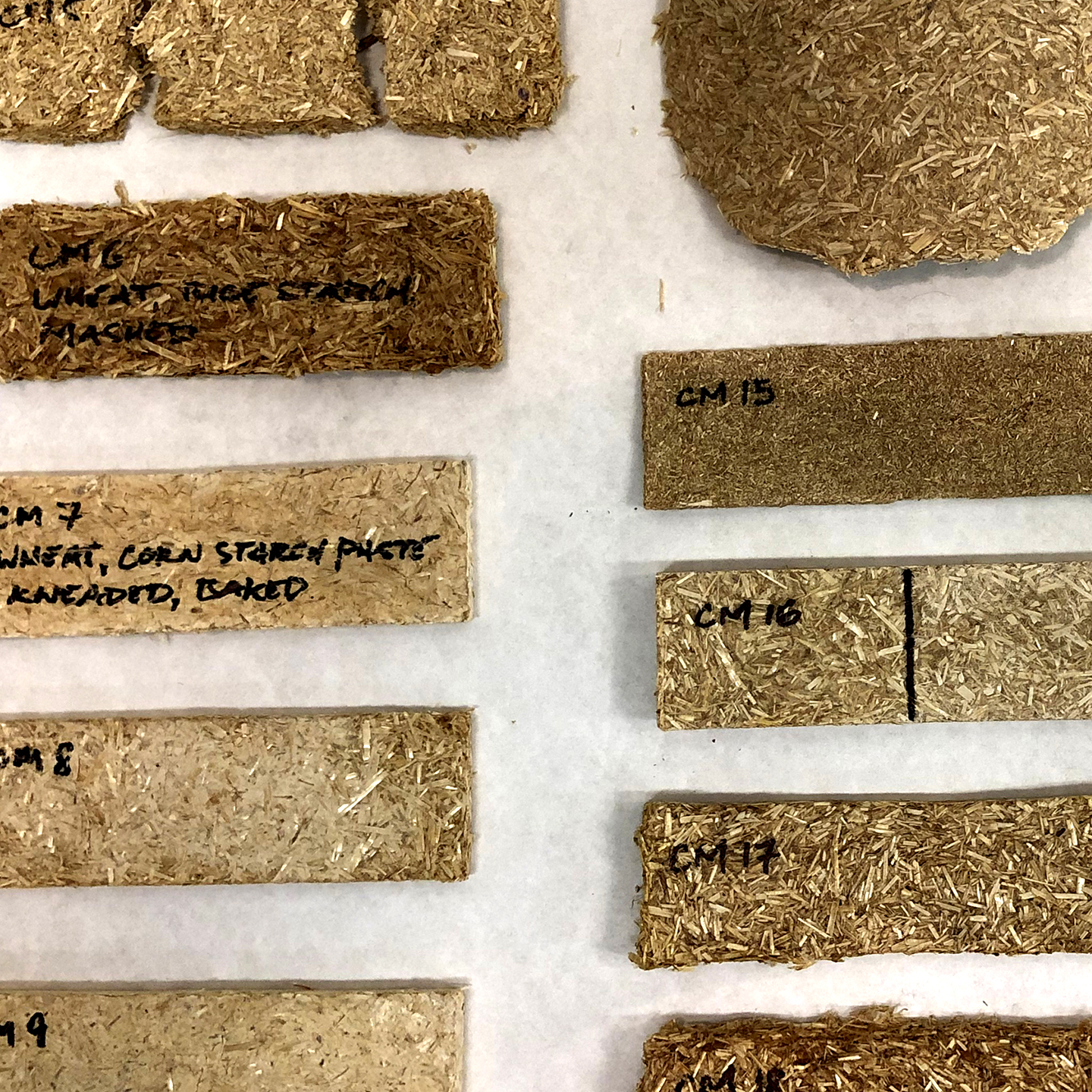 Compression Molding Samples. Ground Wheat Straw, Corn Starch Bioplastic, Rice Starch, Paper, Gelatin Bio-Resin, 2022.